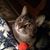 Bonnie Blobaum Bennett's profile image