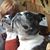 Jean Southcott's profile image