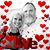 April Lynn Maston's profile image