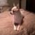 Linda Garner's profile image