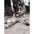 Kerissa Gerhardson's profile image