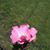Brenda Knight's profile image