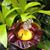 Stefanie Carroll Evans's profile image