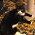 Donna Pellicone Giarratano's profile image