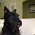 Karen Riegle's profile image
