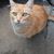 Michelle Zaleske's profile image