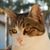 Mary Nystrom's profile image