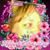 Dawn Brumbaugh's profile image