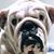 Sherrie M Cisco's profile image