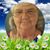 Betty Lent's profile image