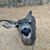 Joel Harris's profile image
