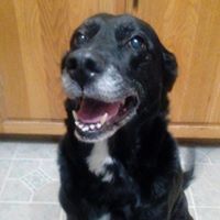 Jody Woolner's profile image