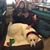 Terri Musgrove Oldham's profile image