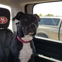 April Clot's profile image