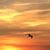 Beth Blair-Slemmer's profile image