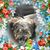 Evelyn H Jameson's profile image