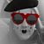Shannon Horn Amditis's profile image