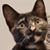 Laura DiVenti's profile image
