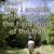 Ginger Vosburg's profile image