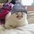 Yifan Hong's profile image