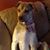 Stacy Bigler's profile image