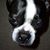 Randi Gord's profile image
