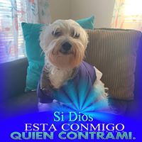 Lissette Moyet's profile image