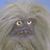 Pamela Thompson's profile image