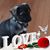 Caryn Dougherty's profile image