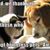 Bonnie Baker's profile image