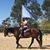 Karen Avance's profile image