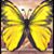 Glenda Ahart's profile image