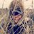 Elizabeth Allemand's profile image