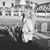 Diana Holman Blubaugh's profile image