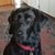 Eugene Kaider's profile image