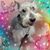 Lynn Keener-Armbrust's profile image