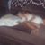 Kandi Byrd's profile image