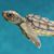 Julie Craig Yarnell's profile image