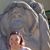 Corri Osborne's profile image