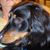 Nita Weinke- Clem's profile image