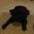 Laura Dorsey's profile image