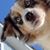 Tracy Wilson's profile image