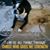 Melanie D Bishop's profile image