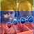 Joanna Linares's profile image