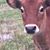 Suzanne Lucas's profile image