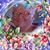 Nancy Bevington's profile image