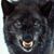 Hermon James's profile image