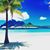 Kristine S. Wingert's profile image