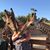 Joanne Keller's profile image