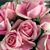 Bertha Cruz's profile image